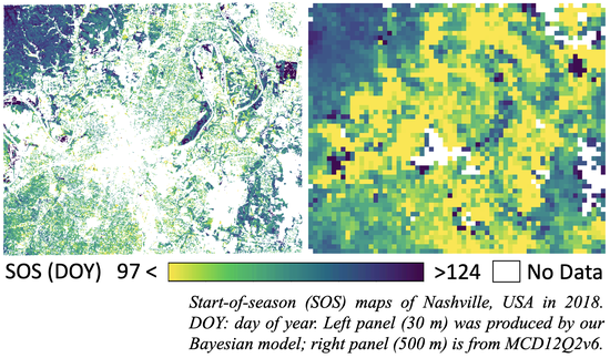 Does chilling explain the divergent response of spring phenology to urban heat islands?